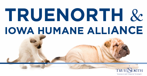 Charitable Giving: Iowa Humane Alliance