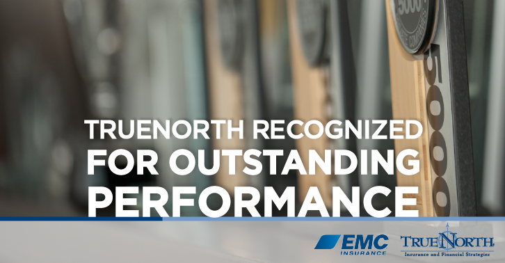 TrueNorth Recognized by EMC